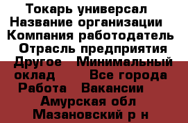 Токарь-универсал › Название организации ­ Компания-работодатель › Отрасль предприятия ­ Другое › Минимальный оклад ­ 1 - Все города Работа » Вакансии   . Амурская обл.,Мазановский р-н